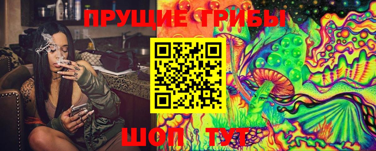 Псилоцибиновые грибы Psilocybine cubensis  Вход с VPN  Аксай 